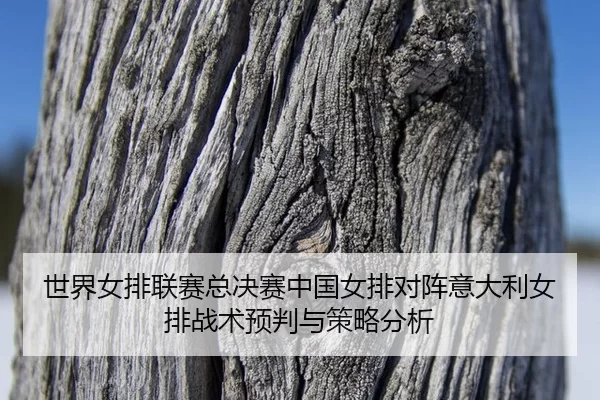 世界女排联赛总决赛中国女排对阵意大利女排战术预判与策略分析