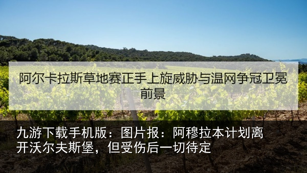 九游下载手机版：图片报：阿穆拉本计划离开沃尔夫斯堡，但受伤后一切待定