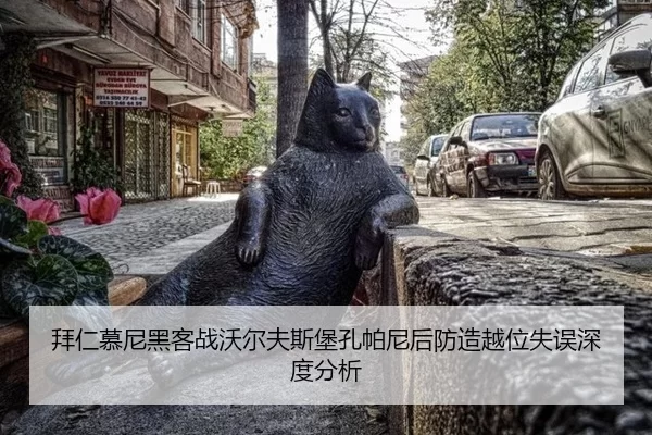 拜仁慕尼黑客战沃尔夫斯堡孔帕尼后防造越位失误深度分析