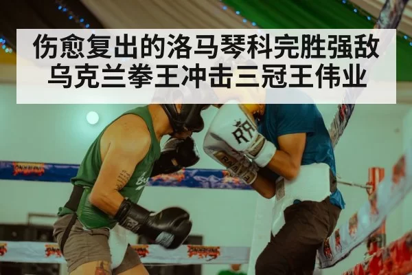 伤愈复出的洛马琴科完胜强敌 乌克兰拳王冲击三冠王伟业