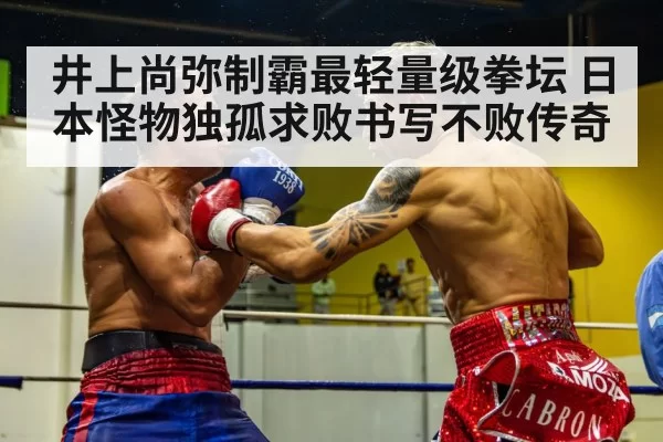 boxing fight action